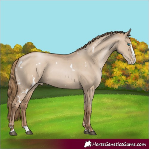 Horse Color:White Spotted Grullo Pearl Splash 