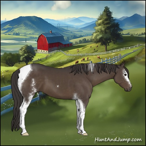 Horse Color:White Spotted Smoky Black Tobiano 