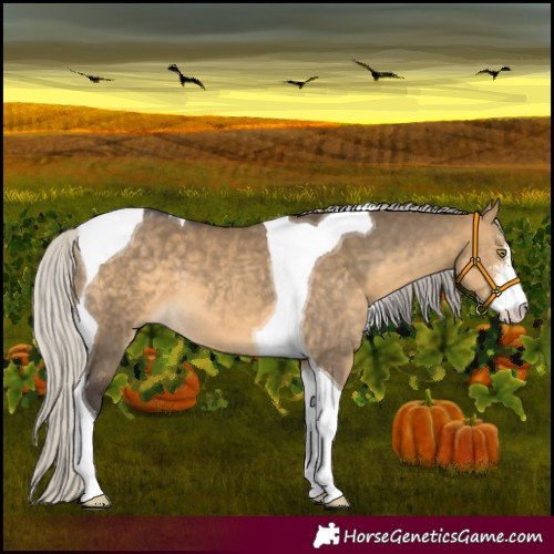Horse Color:Silver Buckskin Dun Sabino Tobiano 