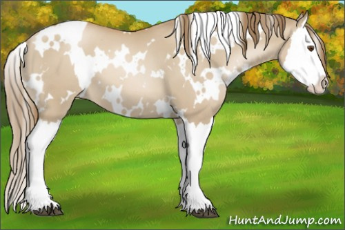 Horse Color:White Spotted Grullo Pearl Splash 