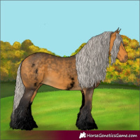 Horse Color:Void White Spotted Silver Buckskin 