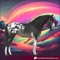 Horse Color:Black Tobiano Frame Appaloosa 