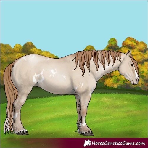 Horse Color:White Spotted Grullo Pearl Splash 