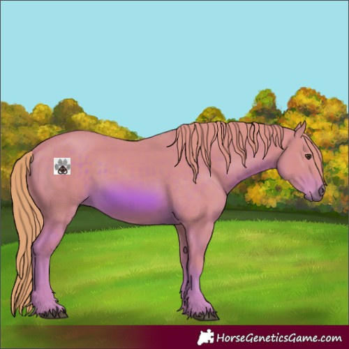 Horse Color:Watercolor Chestnut 