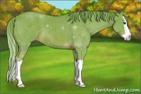 Horse Color:Watercolor Chestnut Splash 