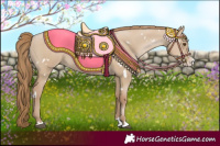Horse Color:White Spotted Grullo Pearl Splash 