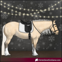 Horse Color:Silver Buckskin Roan Tobiano 