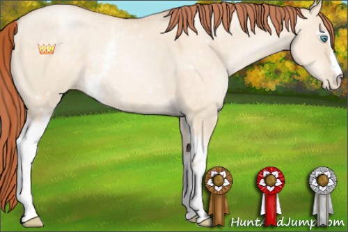 Horse Color:White Spotted Sable Cream Champagne Pearl Dun 