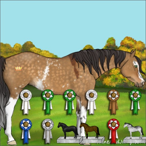 Horse Color:White Spotted Buckskin Dun 