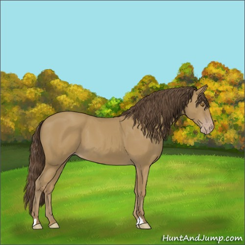 Horse Color:Classic Cream Champagne 