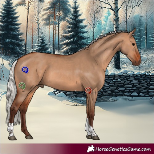 Horse Color:Silver Brown Dun Tobiano 