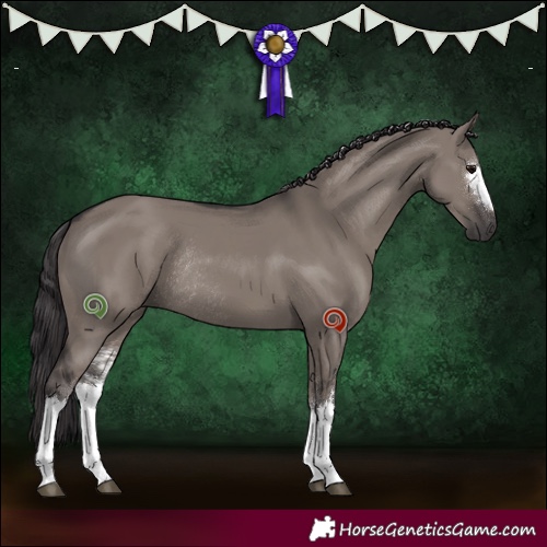 Horse Color:White Spotted Smoky Grullo Rabicano 