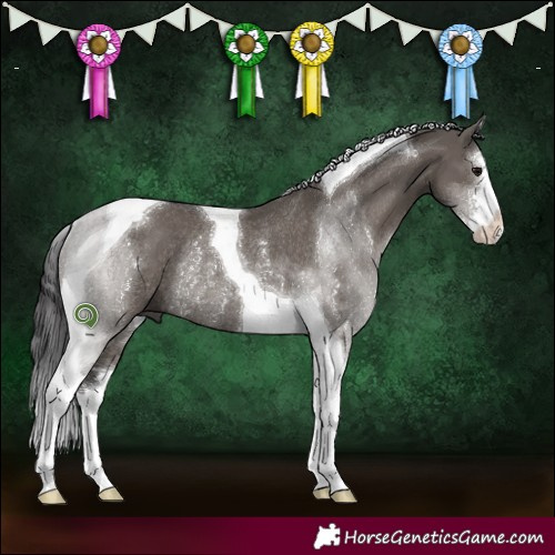 Horse Color:White Spotted Smoky Grullo Tobiano Rabicano 