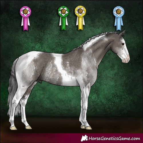 Horse Color:White Spotted Smoky Grullo Tobiano Rabicano 