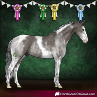 Horse Color:White Spotted Smoky Grullo Tobiano Rabicano