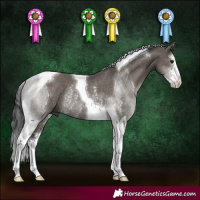 Horse Color:White Spotted Smoky Grullo Tobiano Rabicano 