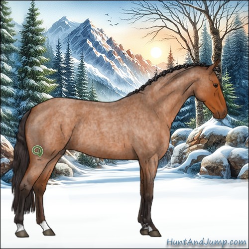 Horse Color:Buckskin Roan Sabino Rabicano
