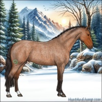 Horse Color:Buckskin Roan Sabino Rabicano 