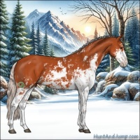 Horse Color:Silver Bay Sabino