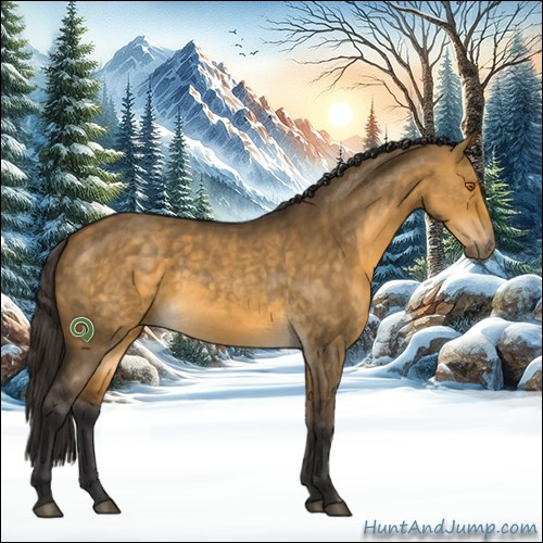 Horse Color:Buckskin Dun Sabino Rabicano 