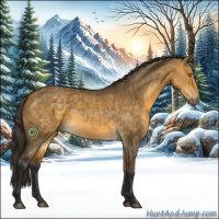 Horse Color:Buckskin Dun Sabino Rabicano