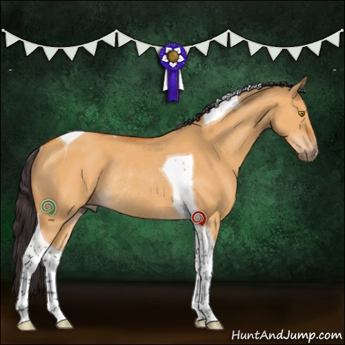 Horse Color:Buckskin Dun Tobiano Rabicano 