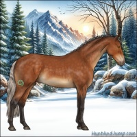 Horse Color:Silver Buckskin Roan Sabino 