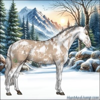 Horse Color:Silver Brown Dun Sabino 