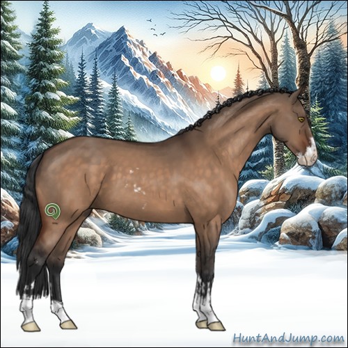 Horse Color:Brown Dun Sabino 