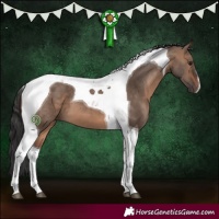 Horse Color:Brown Dun Tobiano 