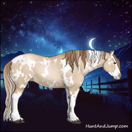 Horse Color:White Spotted Grullo Pearl Splash 