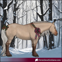 Horse Color:Silver Bay Dun 