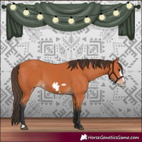 Horse Color:Bay Frame 