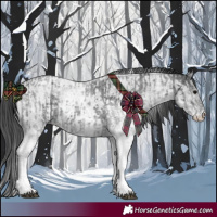 Horse Color:White Spotted Blue Roan Rabicano  and White Spotted Blue Roan Rabicano 