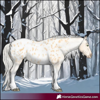 Horse Color:Silver Amber Cream Champagne Roan Tobiano Appaloosa 