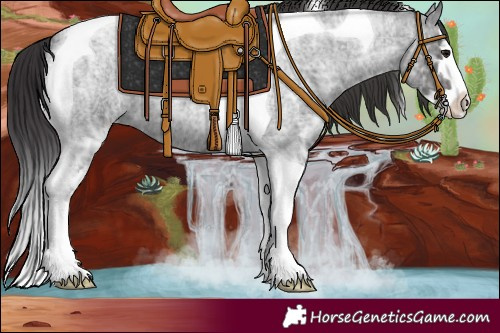 Horse Color:Smoky Blue Ice Roan Splash Tobiano 