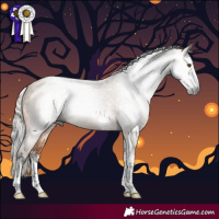 Horse Color:Gray Silver Bay Dun Sabino Tobiano Rabicano