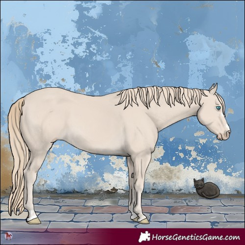Horse Color:Smoky Creme 