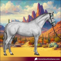 Horse Color:Black Appaloosa Rabicano 