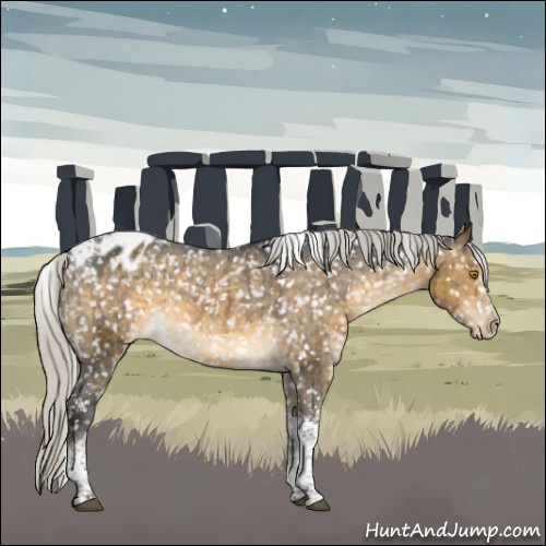 Horse Color:White Spotted Silver Buckskin Dun Tobiano Appaloosa Brindle 