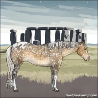 Horse Color:White Spotted Silver Buckskin Dun Tobiano Appaloosa Brindle 
