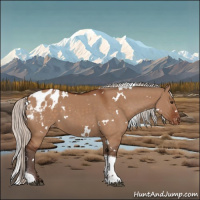 Horse Color:White Spotted Silver Brown Dun Tobiano Blanket 
