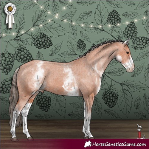 Horse Color:White Spotted Bay Tobiano Varnish