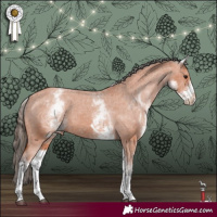 Horse Color:White Spotted Bay Tobiano Varnish