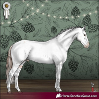 Horse Color:White Spotted Bay Tobiano Appaloosa