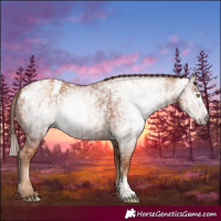 Horse Color:Gray Gold Champagne Appaloosa  and Gray Gold Champagne Appaloosa 