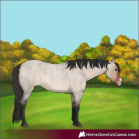 Horse Color:Bay Roan Dun Sabino