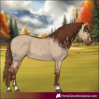 Horse Color:Red Dun 
