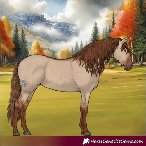 Horse Color:Red Dun Rabicano 