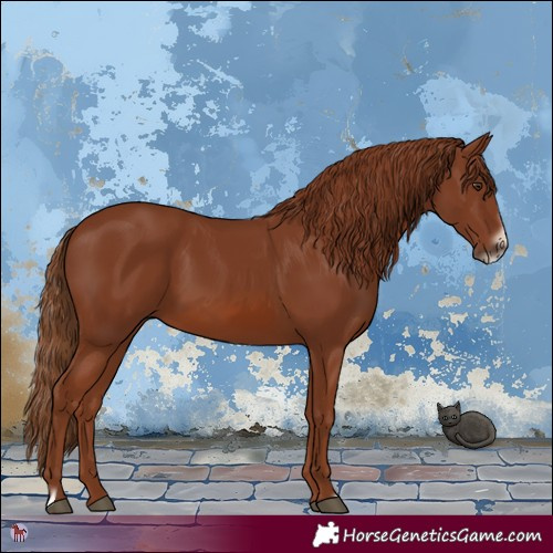 Horse Color:Chestnut Frame 